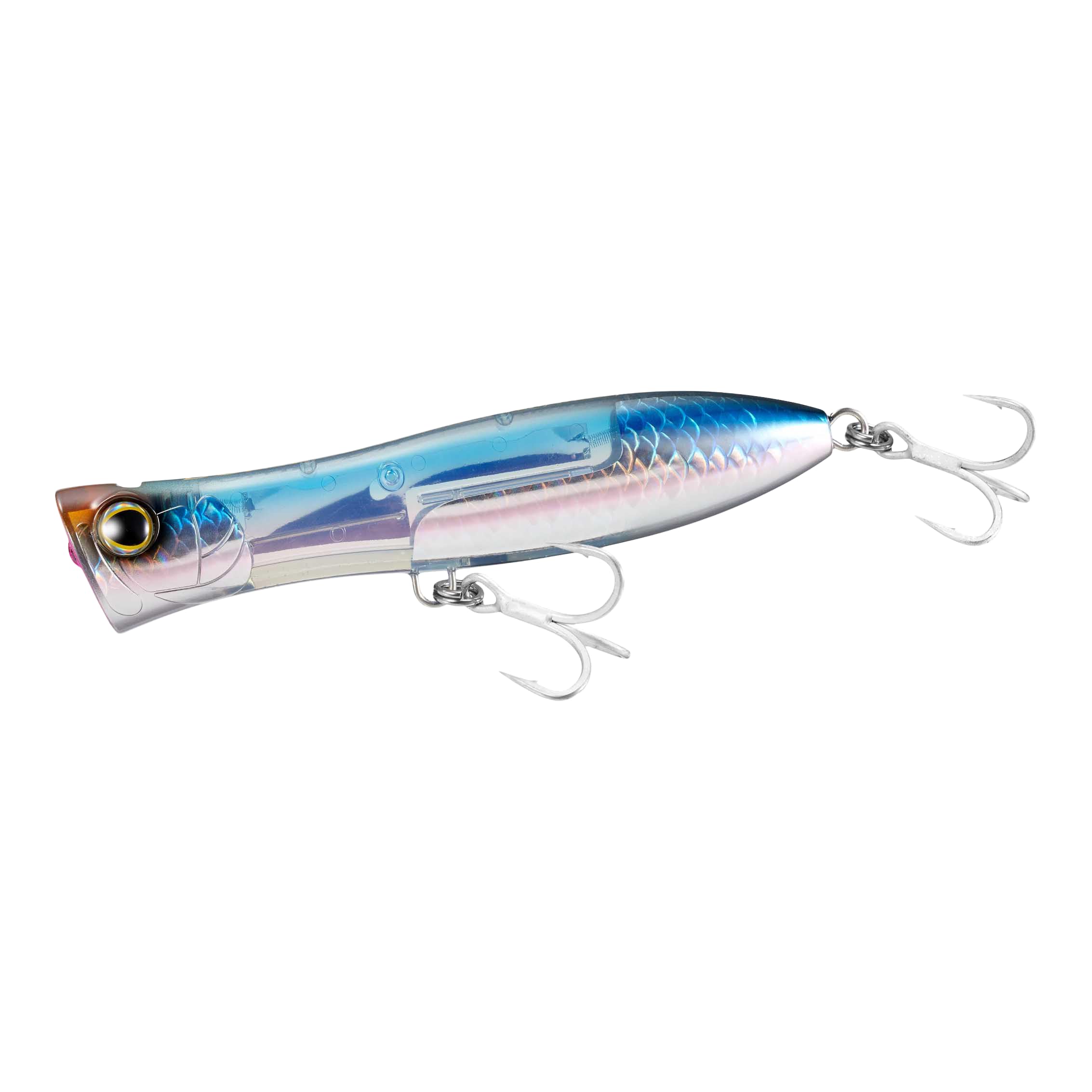 Amazon.com: Shimano A Anchovy OCEA Bomb DIP 170F Flash Boost